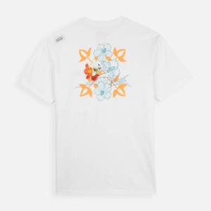 Oxbow T-shirt Korte Mouw  Biologisch katoenen T-shirt met korte mouwen TEFLA