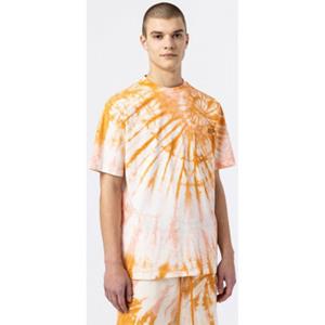 Dickies T-shirt  Seatac tee ss