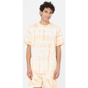 Dickies T-shirt  Westfir tee ss