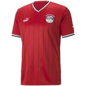 Puma T-shirt  -