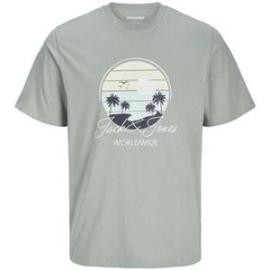 Jack & Jones Jjpalm tee ss crew neck