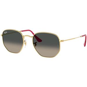 Ray-Ban Zonnebril  Occhiali da Sole Hexagonal RB3548N 001/71