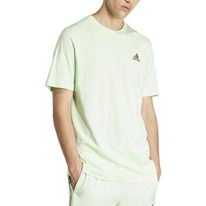 Adidas T-shirt  -