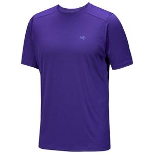 Arcteryx Heren Ionia T-Shirt