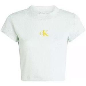 Calvin Klein Jeans T-shirt Korte Mouw  -