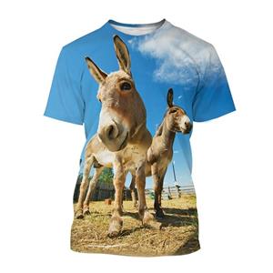 Chengyu Schattige ezel 3D-print T-shirt voor heren Grappige dierenafbeeldingen T-shirt met korte mouwen Persoonlijkheid Ronde hals Casual T-shirt M