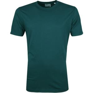 Colorful Standard T-shirt  T-shirt Ocean Groen