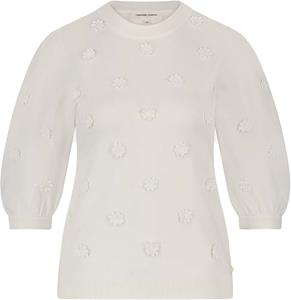 Fabienne Chapot Pullover korte mouw cltpul76 hilly