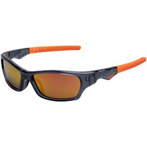 Nike Zonnebril  DZ7379-021