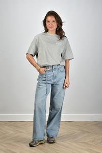 Anine Bing t-shirt Myers met rugprint grijs