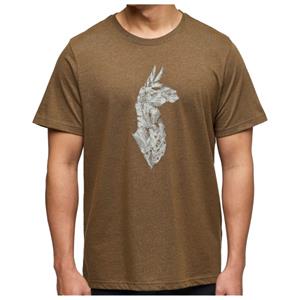 Cotopaxi  Into The Pines - T-shirt, bruin