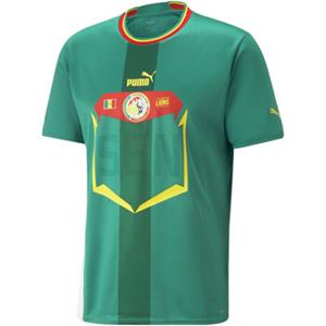 Puma T-shirt  -