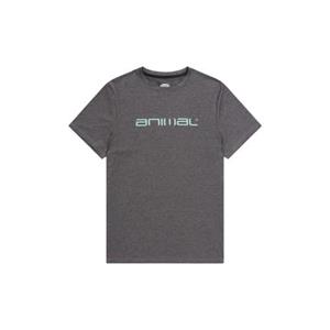 Animal Heren Latero Logo Zwemshirt XL houtskool