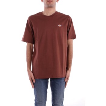 Dickies T-shirt Korte Mouw  DK0A4XDB