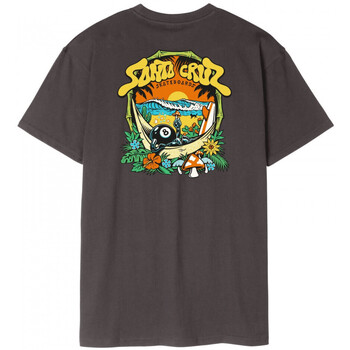 Santa Cruz T-shirt  Winkowski 8baller trip t-shirt