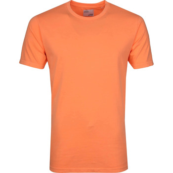 Colorful Standard T-shirt  T-shirt Neon Oranje