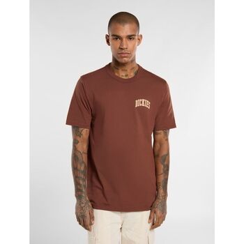 Dickies T-shirt  AITKIN CHEST - DK0A4Y8O-K471 CAPPUCCINO