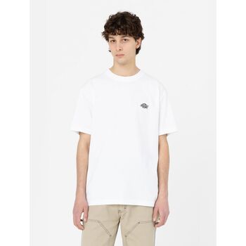 Dickies T-shirt  SUMMERDALE SS - DK0A4YA-WHX WHITE
