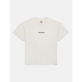 Dickies T-shirt  ENTERPRISE TEE DK0A4YRN-F901 WHITECAP GRAY