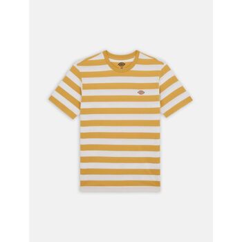 Dickies T-shirt  RIVERGROVE DK0A4Y8Y-H13 FALL LEAF