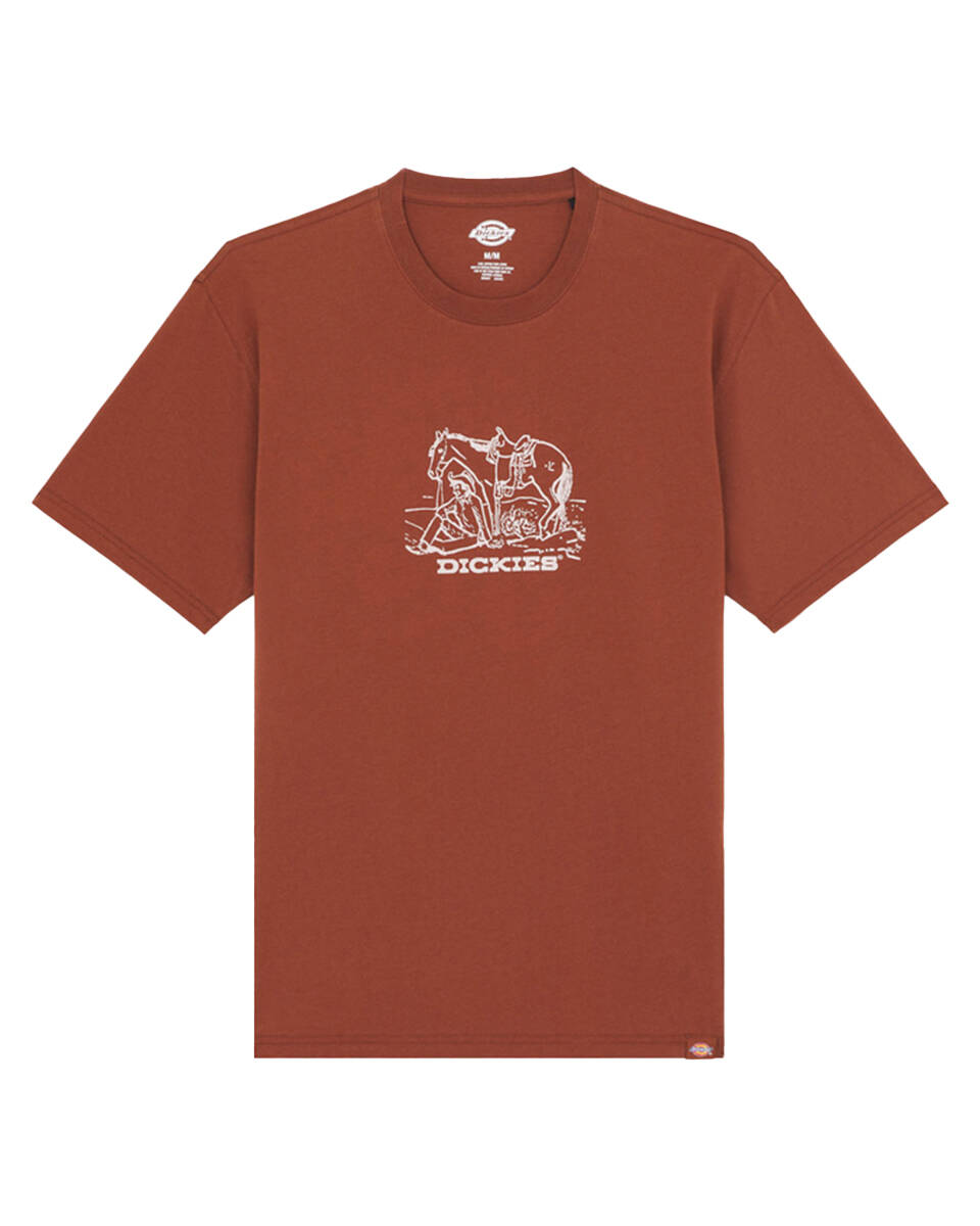 Dickies Companion T-Shirt, Brown