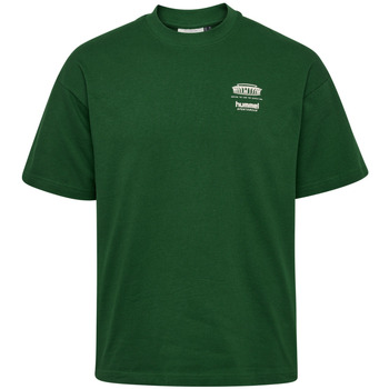Hummel T-shirt Korte Mouw  T-shirt loose Bees Stadium