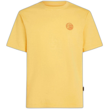 O'Neill T-shirt Korte Mouw  T-shirt O'riginals Vintage Graphic