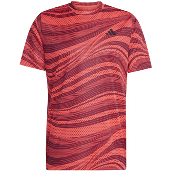 Adidas T-shirt Korte Mouw  T-shirt Club Graph