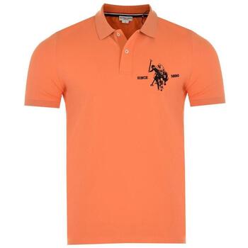 U.S Polo Assn. T-shirt  -