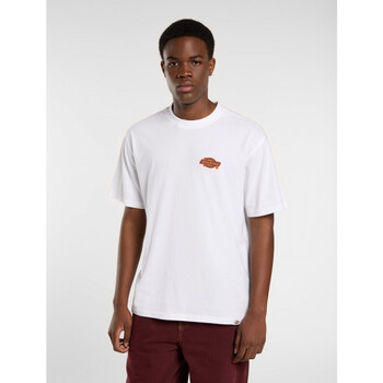 Dickies T-shirt Korte Mouw  Graysville tee ss