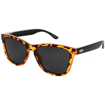 Must Have Zonnebril  STARTUP-CAREY AND BLACK