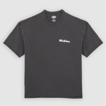 Dickies T-shirt Korte Mouw  SLAYDEN GD