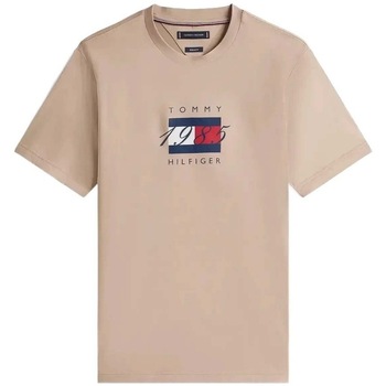 Tommy Hilfiger T-shirt Korte Mouw  LINEAR FLAG GRAPHIC TEE