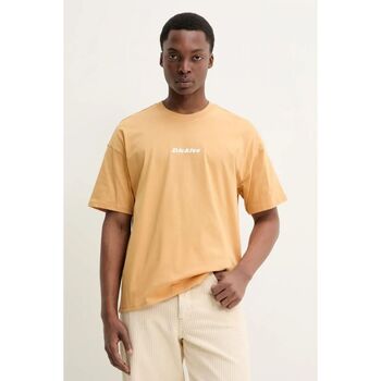 Dickies T-shirt  ENTERPRISE TEE DK0A4YRN-K411 OAK BUFF