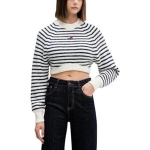 Tommy Hilfiger Trui  TJW CROP BADGE SWEAT DW0DW21677