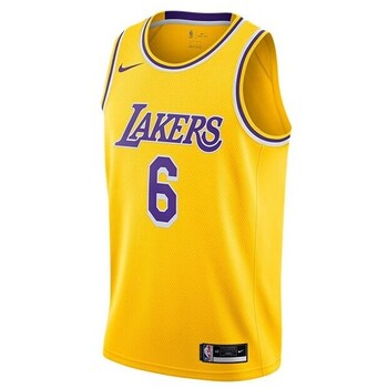 Nike T-shirt Korte Mouw  Nba Los Angeles Lakers Lebron James Swingman