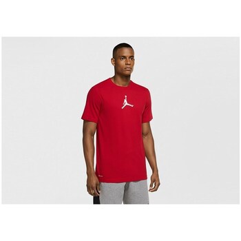 Nike T-shirt Korte Mouw  Air Jordan Dri-fit Air Graphic