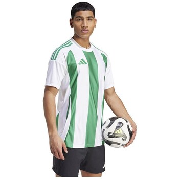 Adidas T-shirt Korte Mouw  Striped 24 Jsy