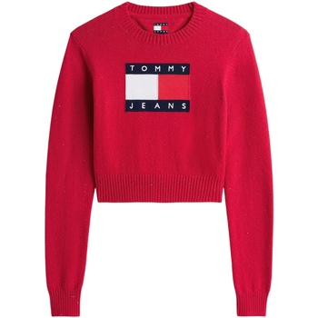 Tommy Hilfiger Trui  TJW SPARKLE FLAG SWE DW0DW21690