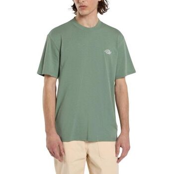 Dickies T-shirt  SUMMERDALE SS - DK0A4YA-L191 SEA SPRAY