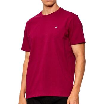 Calvin Klein Jeans T-shirt Korte Mouw  -