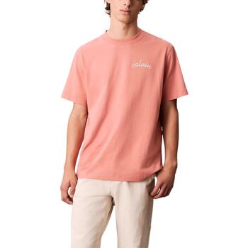 Calvin Klein Jeans T-shirt Korte Mouw  SS LEFT CHEST CHAIN LV04RC226G