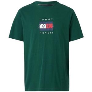 Tommy Hilfiger T-shirt  LINEAR FLAG GRAPHIC TEE