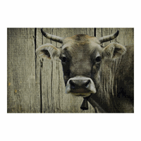 Gifts & More binnenmat zwitserse koe