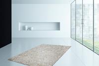 Dierenvel Spark 110, Kayoom