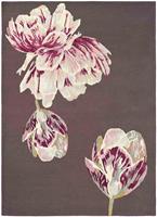 Ted Baker Laagpolig vloerkleed Ted Baker Tranquility Aubergine 56005 200 rond