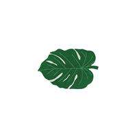 Lorena Canals Monstera Leaf Vloerkleed 120 x 160 cm