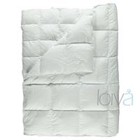 Loiva Ganzendons Dekbed - Exclusief 4-Seizoenen dekbed 240 x 200 cm - Lits-jumeaux