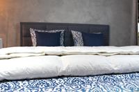 Loiva Ganzendons Dekbed - Exclusief 4-Seizoenen dekbed 160 x 220 cm - Eenpersoons