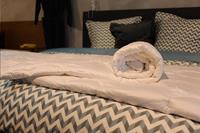 Loiva Wollen dekbed 4-Seizoenen  100% zuiver scheerwol 240 x 220 cm - Lits-jumeaux